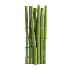 3D icon of green bamboo forest isolated on transparent background