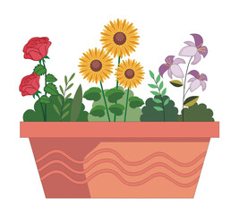 A mix of flowers in pot. Fall-themed balcony decor on a plain white background.