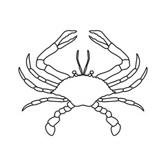 Crabs line art vector illustration. Seafood crab in outline for icon, logo, symbol .