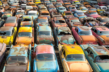 Fototapeta premium A large junkyard filled with rusted and decaying vintage cars, abandoned to nature's elements.