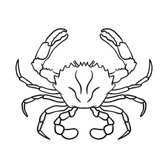 Crabs line art vector illustration. Seafood crab in outline for icon, logo, symbol .