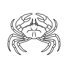 Crabs line art vector illustration. Seafood crab in outline for icon, logo, symbol .