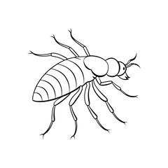 Flea (Siphonaptera) insect silhouette design, labeled line art vector illustration.