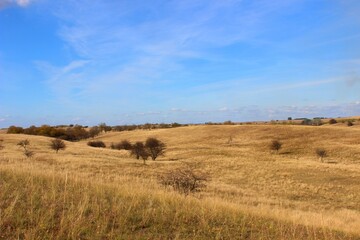 Fototapeta premium Zagajica hill, natural phenomenon, sand dunes in the middle of a plain in northern Serbia