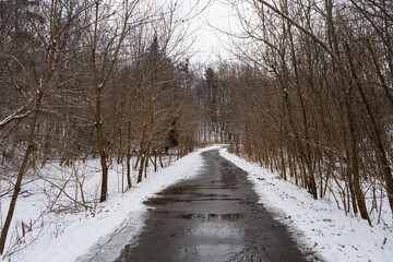 A trail in a winter park or forest with puddles and patches of snow.