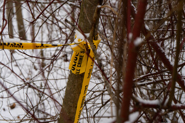 A yellow police warning tape on a tree in the forest, creating a striking contrast against the snowy background.