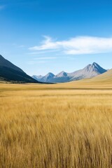 A vast, empty field with a blue sky and mountains in the background. The field is filled with tall grass and the mountains are in the distance