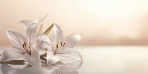 Obraz premium A delicate cluster of white lilies on a warm smooth surface, showcasing elegance and purity