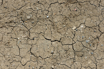 soil texture