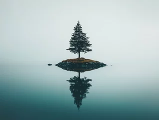 Acrylic prints Einsamer Baum auf einer kleinen Insel im ruhigen, spiegelnden Wasser  