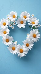 Fototapeta premium White daisies forming heart shape on light blue background