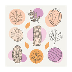 Hand drawn design botanical elements collection