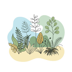 Hand drawn design botanical elements collection