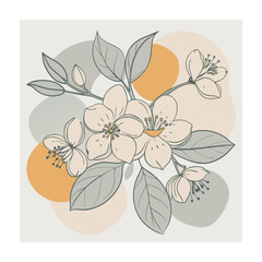 Hand drawn design botanical elements collection