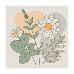 Hand drawn design botanical elements collection