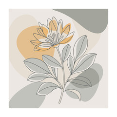 Hand drawn design botanical elements collection