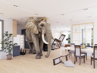 Elephant standing in modern living room