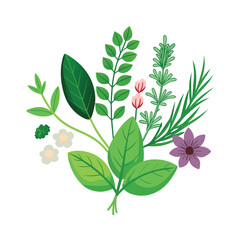 Hand drawn design botanical elements collection