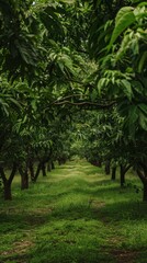 Green garden with neat rows of trees, creating a sense of tranquility. Suitable for sites about nature, landscape design and ecotourism advertising.