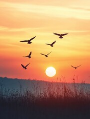 Obraz premium Religious concept: Silhouette cross and birds flying on meadow autumn sunrise. 