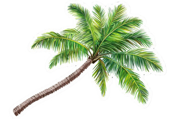 Obraz premium A vibrant palm tree with lush green leaves and a textured brown trunk.