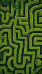 Aerial View of a Green Maze