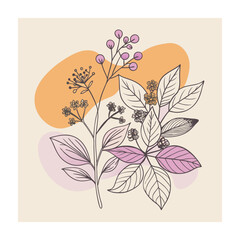 Hand drawn design botanical elements collection