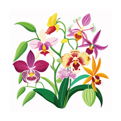 Hand drawn design botanical elements collection