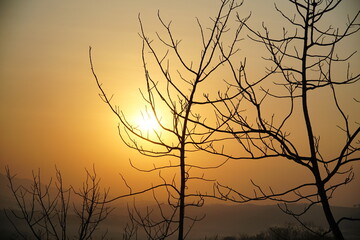 Beautiful Sunset moment and Branch