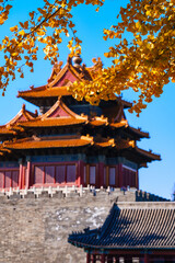 Naklejka premium Overlooking Watch Tower of the Forbidden City and yellow ginkgo leaves under blue sky in sunlight in Autumn