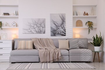 Fototapeta premium Comfortable sofa, houseplants and decorative elements in living room. Interior design