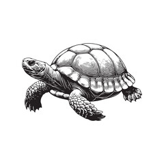 Naklejka premium Turtle vector silhouette illustrator design