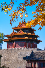 Obraz premium Overlooking Watch Tower of the Forbidden City and yellow ginkgo leaves under blue sky in sunlight in Autumn