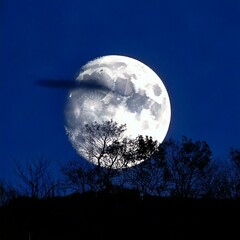 Curtains moon viewing day 