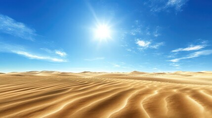 Naklejka premium Desert Landscape Under Bright Sunlight