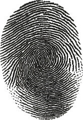 Black Grunge Fingerprint Icon in White Background &ndash; Detailed Thumbprint Sign and Fingerprint Identity Symbol for Use in Digital and Graphic Design
