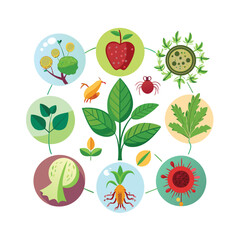 Hand drawn design botanical elements collection