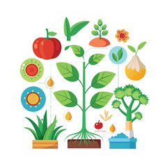 Hand drawn design botanical elements collection