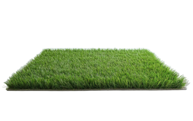 Artificial grass rug on transparent or white background,png