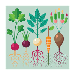 Hand drawn design botanical elements collection