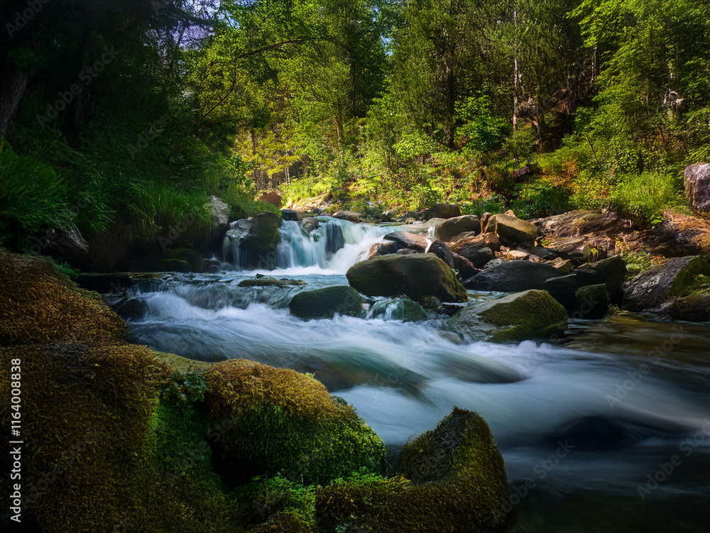 Poster serene forest stream cascades over moss-covered rocks, sunlight filtering through lush green canopy.