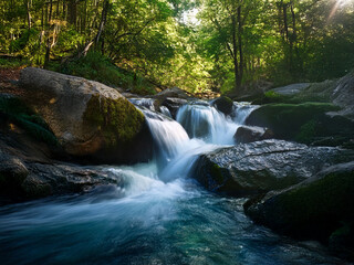 Sunlight dapples a serene forest stream cascading over moss-covered rocks. The water flows smoothly, creating a tranquil scene.
