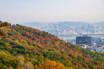 Scenic view mountain and tree leaves changing color to yellow to orange.