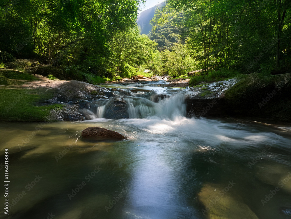 Poster serene mountain stream flows gently over smooth rocks, dappled sunlight filtering through lush green