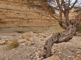 Eilat Mountains . Israel