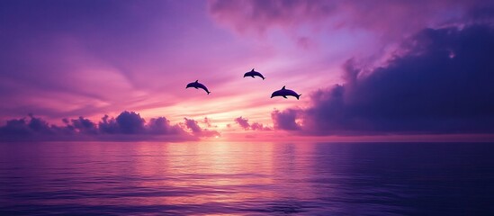Obraz premium Dolphins flying over a vibrant sunset sea.