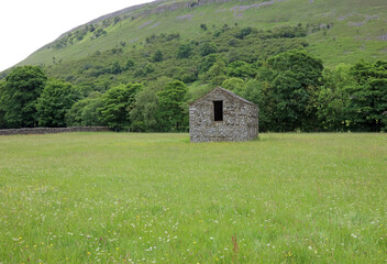 Obraz premium Stone barn in a wildflower meadow, North Yorkshire England 