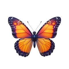 Fototapeta premium Colorful Butterfly Sitting Symmetrically