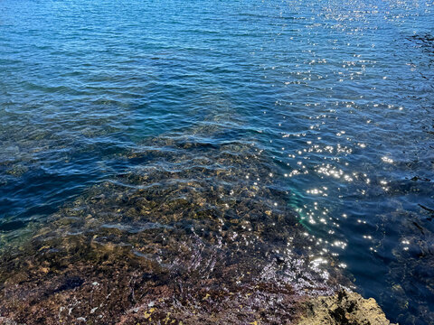 Sea blue shiny water and algae on underwater rocks. 