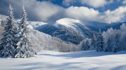 Fototapeta premium Majestic alpine landscape with snow-covered peaks and frosted trees under a dramatic sky showcasing winter's serene beauty.